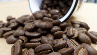 Brazílie 100% ARABICA  Fazenda Sertao - Yellow Bourbon